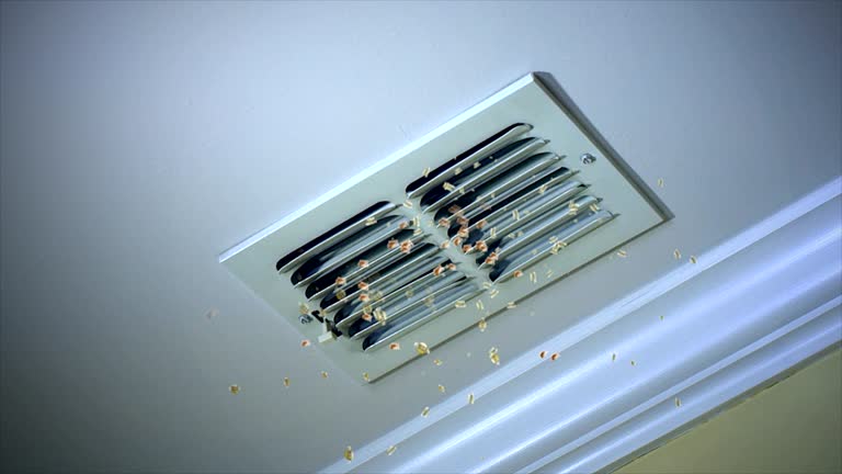 Best Air Duct Mold Removal  in Matta, WA